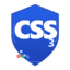 CSS Icon
